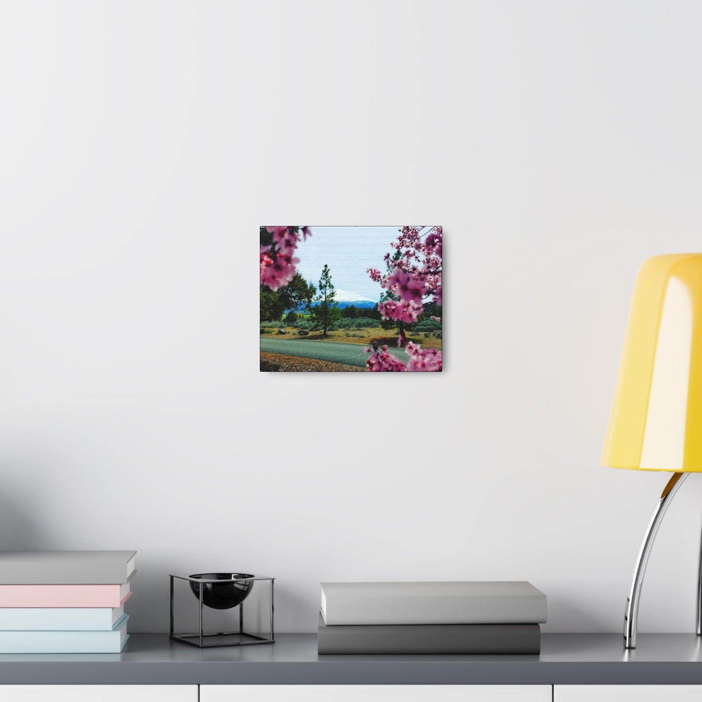 Mount Shasta Spring Blossoms Canvas Gallery Wrap
